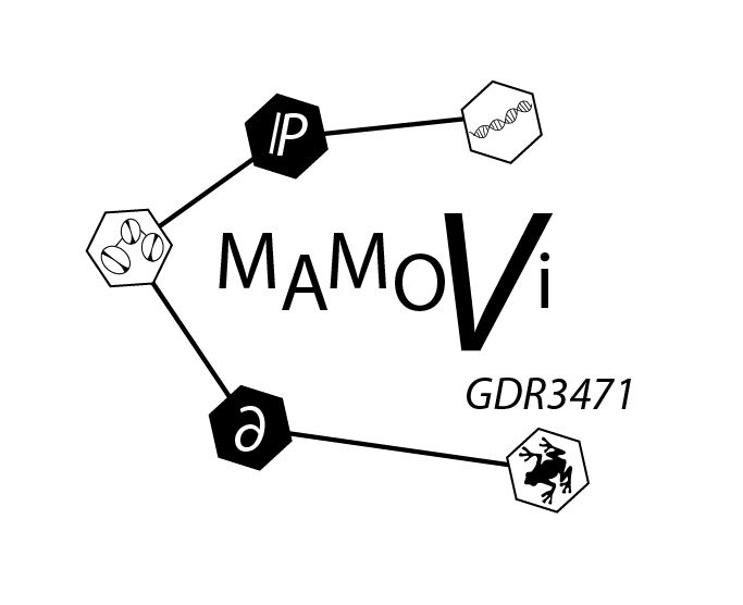 logo_mamovi